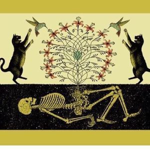 Meet your Posher, Anne